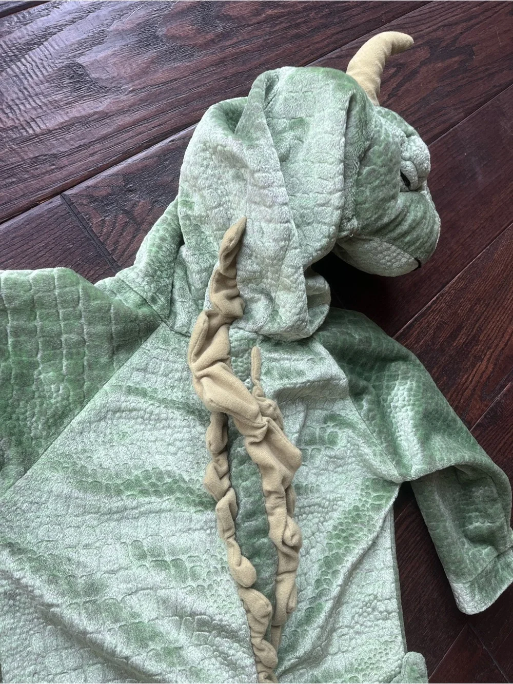 Halloween Costume Dragon